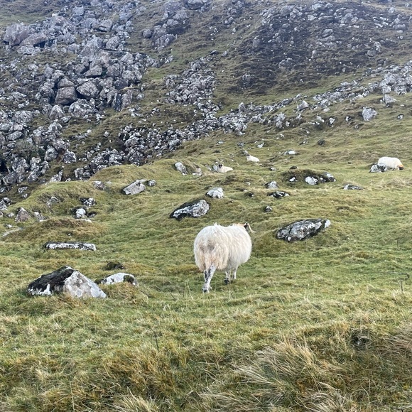 Meet your Posher, KV - Picture 1 of 1